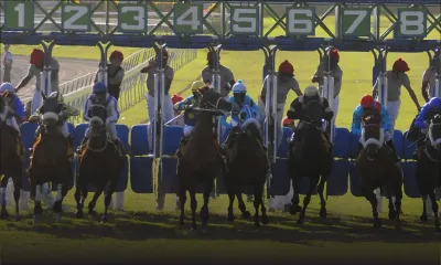 Clôture de la saison hippique 2015 en apothéose de dimanche