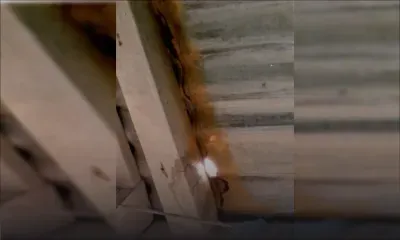 Francesca sollicite les autorités: «Nous sommes dans le besoin, mais nos demandes d’aide sont rejetées»