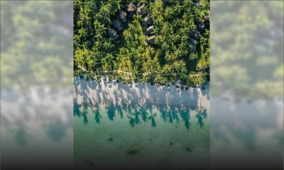 Performance - Revenus et profits en hausse pour Sun Limited