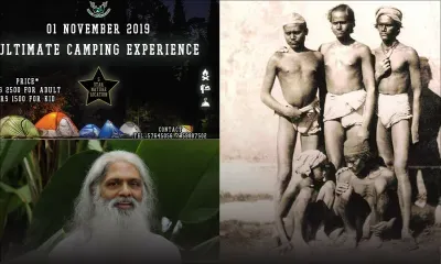 Découvrez les bons plans du week-end (02-03 novembre)