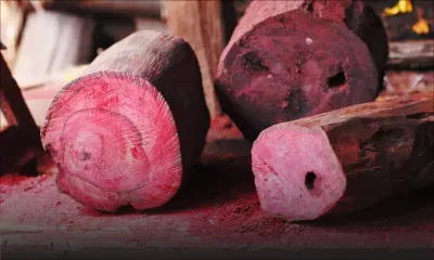 Affaire Mamy Ravatomanga - Trafic de bois de rose : la FCC cible des sociétés offshore