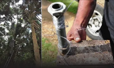 Grand-Bassin: un officier de l’ADSU blessé par un «booby trap»