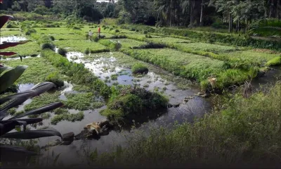 Le Val Nature Park à l’abandon