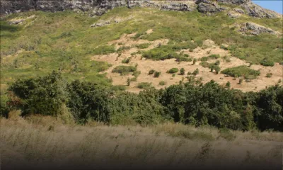 Gestion des terres de l’État : Une nouvelle entité créée d’ici deux semaines