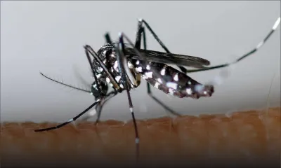 Virus Zika: la Santé rassure mais appelle à la prudence