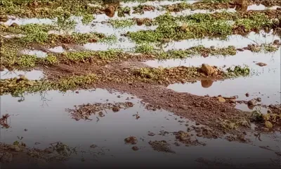 Consommation : les prix des légumes font germer l’amertume
