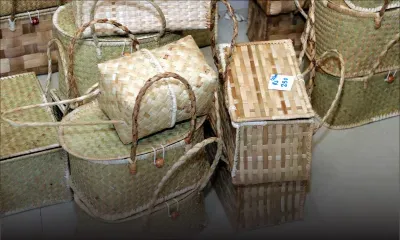 Faire du vacoas des trésors