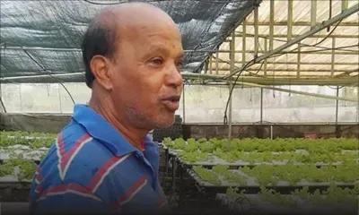 Dewanun Gokool : celui qui cultive des laitues hydroponiques