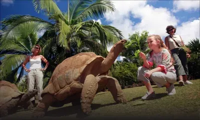 Fête du Travail : de bonnes affaires pour les salariés