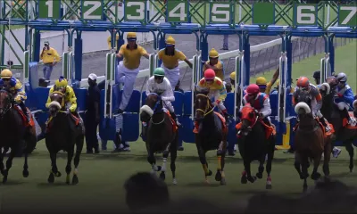 Séquelles de la Maiden Cup : rencontre entre la GRA et le MTC pour situer les responsabilités