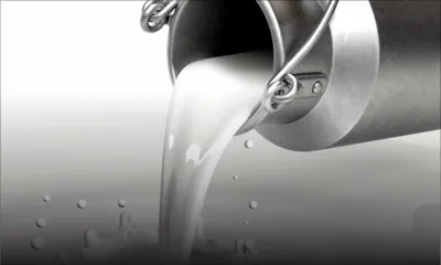 Le prix du lait en poudre baisse d’environ 17% en deux ans