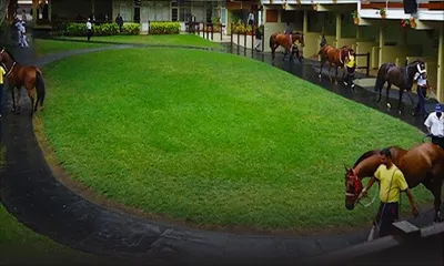 Hippisme : les jockeys refusent de monter en course pour la journée inaugurale ce dimanche