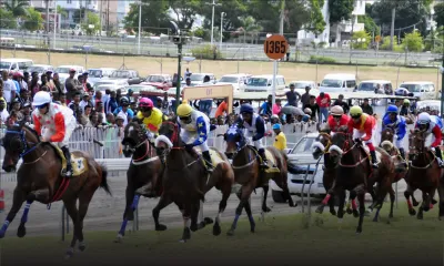 Hippisme : les pronostics de la 15e journée