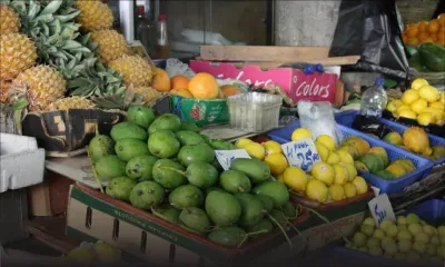 Cour suprême : le transfert d’un étal au fils d’un défunt marchand contesté