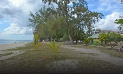 Dommages : elle réclame Rs 5 M pour un arbre qui lui est tombé dessus