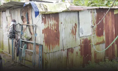 Sa soeur accusée de maltraitance - Bianka, la tante des enfants abusés : «Mo pa ti dakor ek sa lavi la»