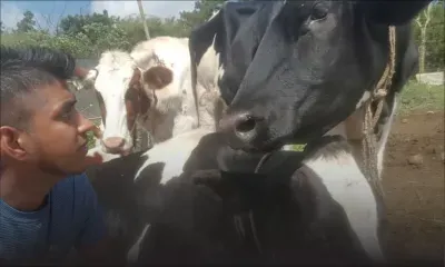 Emploi : diplômés et travailleurs manuels