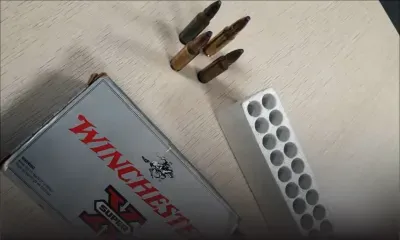 Des balles dans le sac d’un vétérinaire : un oubli qui lui coûte cher