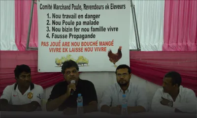 Les cinq demandes des éleveurs et revendeurs de poulets