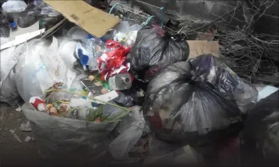 À Camp Chapelon : le service de ramassage d’ordures décrié les jours fériés