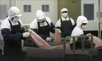 Poisson : la pénurie de thon fait grimper le prix