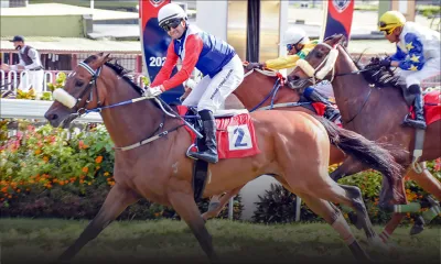 Maiden Cup : Alshibaa en quête du triplé historique