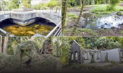 Jardin de Pamplemousses : à la recherche d’une beauté perdue…