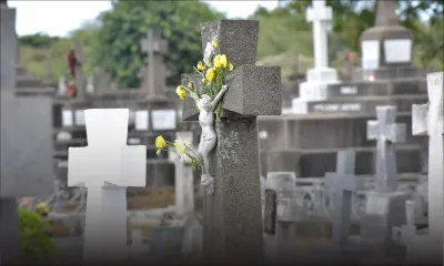 Fête des morts, fête des fleurs