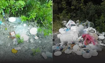 Dépotoir sauvage à Helvétia