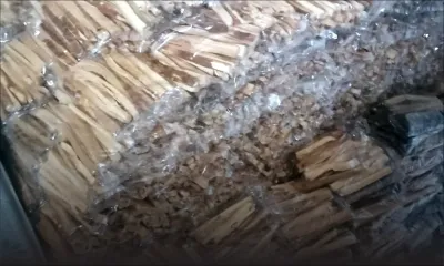 Saisie d’une importante cargaison de bois de santal à Terre-Rouge