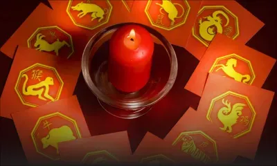 Découvrez ce que vous réserve l’année 2019 sous le signe du Cochon