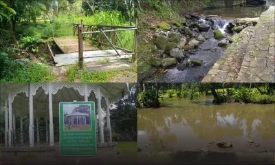 SSR Botanical Garden : l’éden de Curepipe