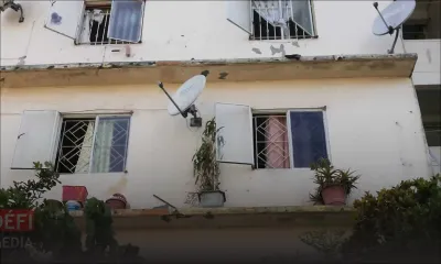 NHDC de La-Tour Kœnig : plainte pour la présence de chiens en appartement 