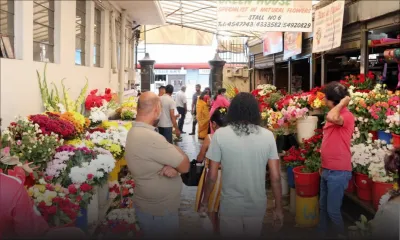 Thaipoosam Cavadee : hausse conséquente dans la vente de fleurs cette année 