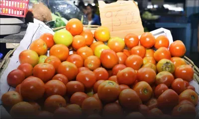 Polémique sur les prix des légumes