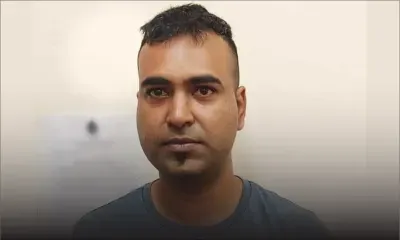 À Saint-Pierre : saisie d’environ 100 semences de cannabis et de drogue synthétique