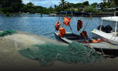 Pêche à la senne : débuts en beauté