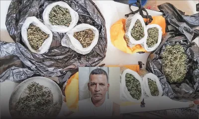 Culture et distribution de cannabis : le chef pompier suspendu soupçonné d’être un maillon fort dans le Nord