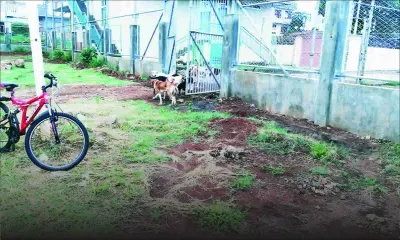 À Vuillemin : la rénovation du terrain de foot traine