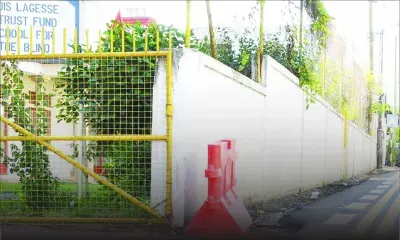 À Beau-Bassin : les malvoyants importunés par des chiens errants