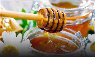 Acheter «malin» -Miel : prix en baisse avec un choix élargi