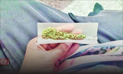 Drogue synthétique : 2 446 personnes arrêtées par l’Adsu de 2015 à ce jour  