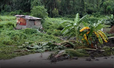 Légumes filants et fines herbes ont souffert