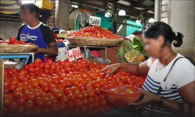 Consommation : le prix des légumes augmentera de 30 à 50 % 