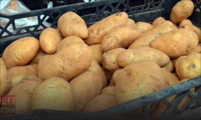 Retard dans l'arrivée des cargaisons de légumes, mais la disponibilité est assurée