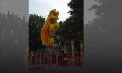 Le Festival Chinatown : haut en couleurs encore et toujours 