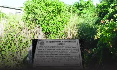 Terrain en friche à Calebasses : il est victime de vol à deux reprises