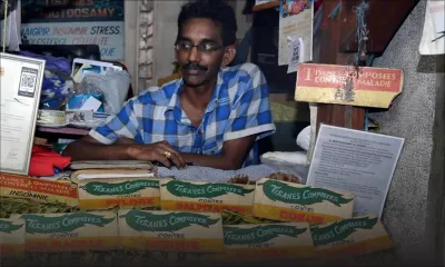 Tisanes : des plantes médicinales pour renforcer le système immunitaire