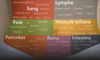 Détoxication: le revers de la chasse aux toxines