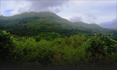 La situation de nos fôrets